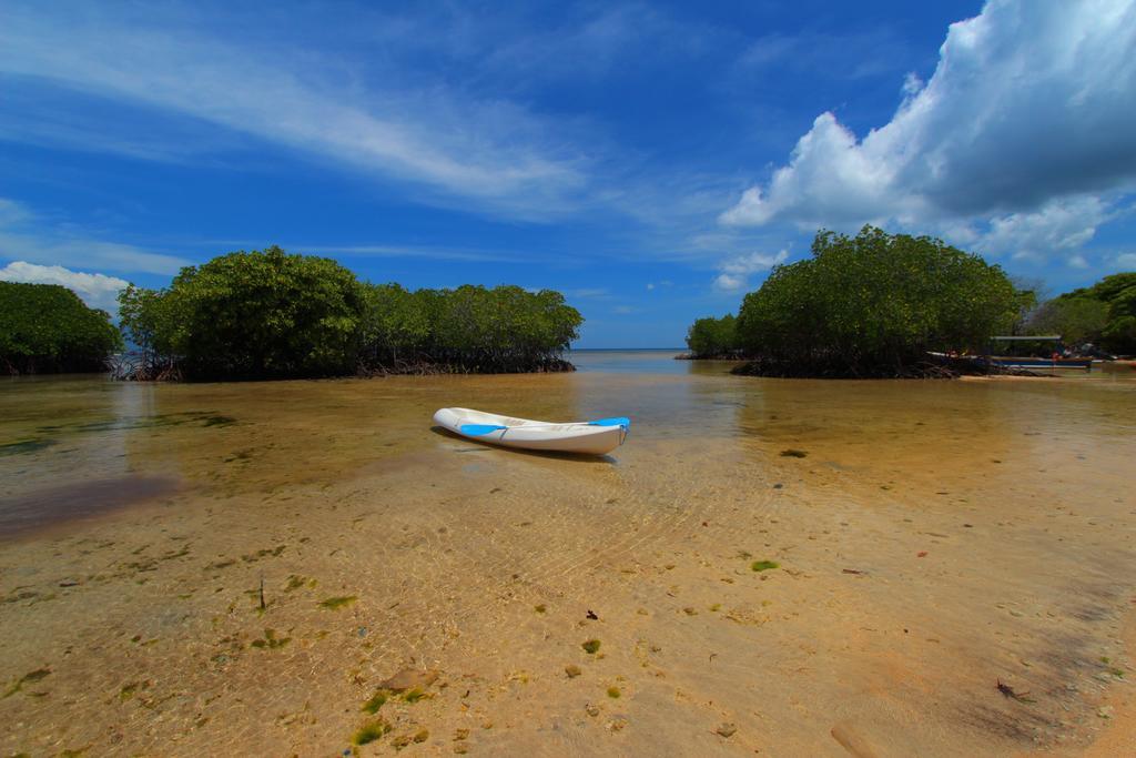 Mangrove Paradise Retreat Nusa Lembongan Eksteriør billede